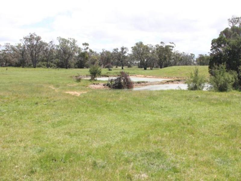 803 Hawkins Road, Longford VIC 3851