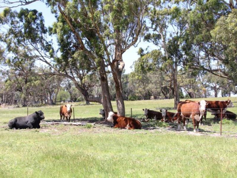 803 Hawkins Road, Longford VIC 3851