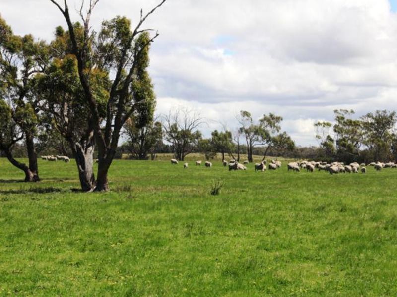 803 Hawkins Road, Longford VIC 3851