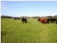 138 Mertonvale Road, Willung VIC 3847