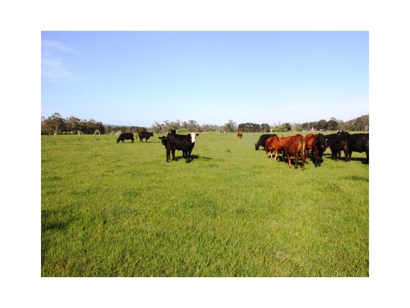 138 Mertonvale Road, Willung VIC 3847