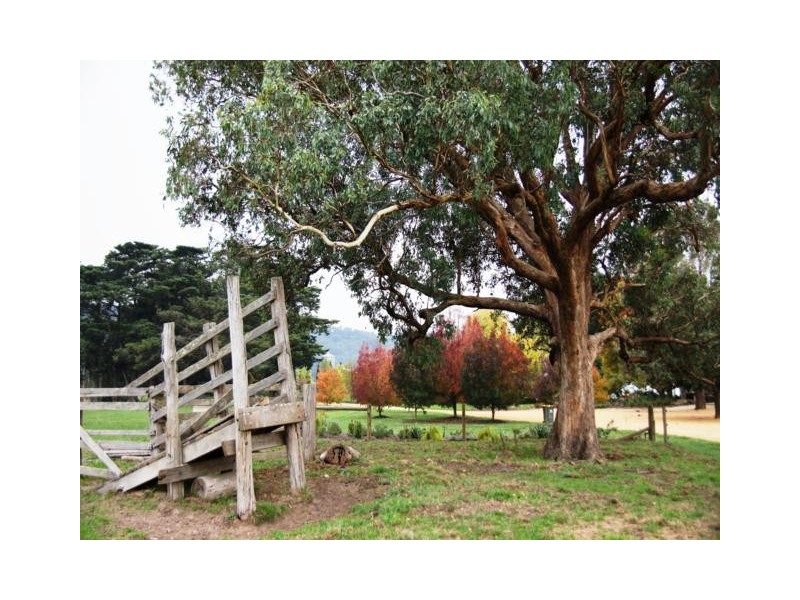 138 Mertonvale Road, Willung VIC 3847