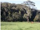 138 Mertonvale Road, Willung VIC 3847