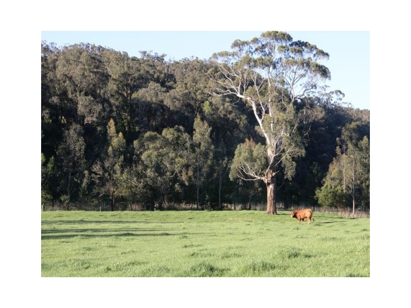 138 Mertonvale Road, Willung VIC 3847