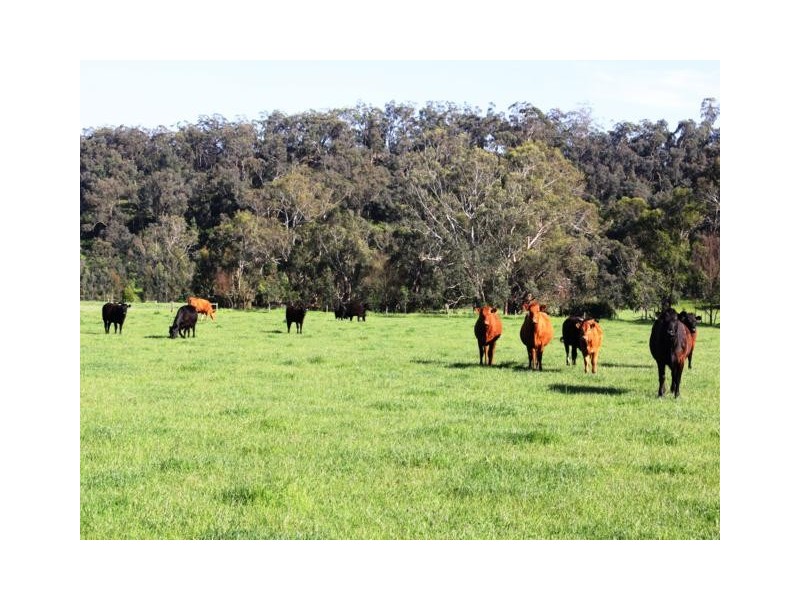 138 Mertonvale Road, Willung VIC 3847