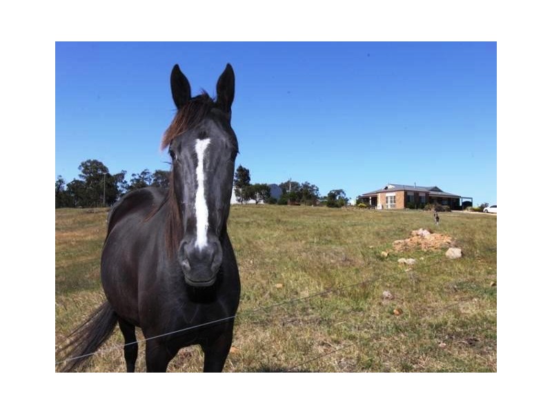 569 Tinamba-Seaton Road, Tinamba VIC 3859