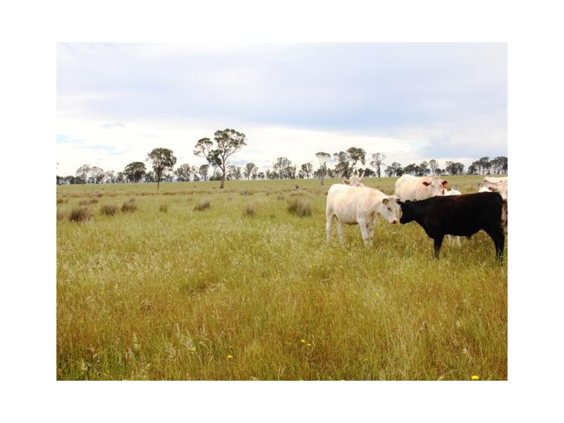 ..N /A Reservoir Road, Stratford VIC 3862