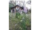 330 Link Road, Briagolong VIC 3860