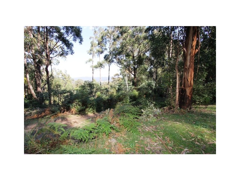 330 Link Road, Briagolong VIC 3860