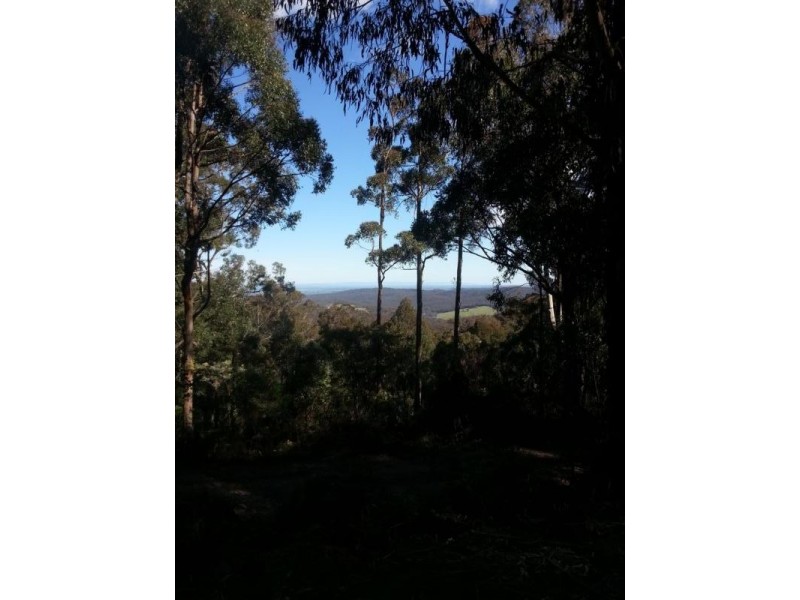 330 Link Road, Briagolong VIC 3860