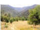 C.A 2 Upper Dargo Road, Dargo VIC 3862