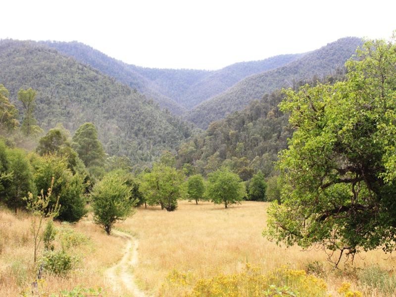 C.A 2 Upper Dargo Road, Dargo VIC 3862
