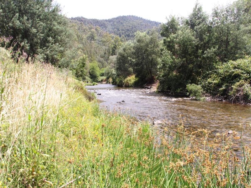 C.A 2 Upper Dargo Road, Dargo VIC 3862