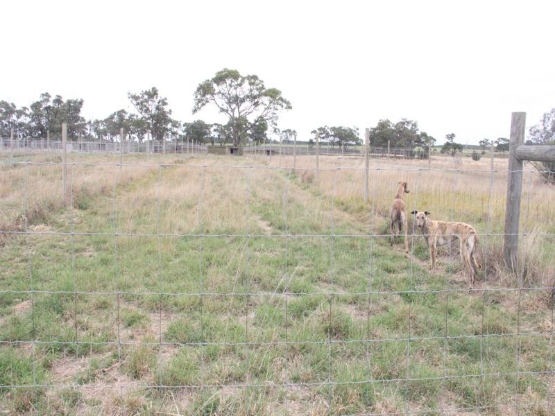 963 SEASPRAY ROAD, Longford VIC 3851