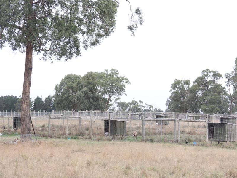 963 SEASPRAY ROAD, Longford VIC 3851