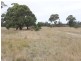 963 SEASPRAY ROAD, Longford VIC 3851
