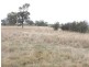 963 SEASPRAY ROAD, Longford VIC 3851