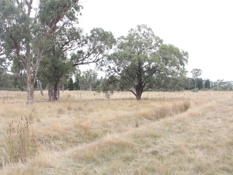 963 SEASPRAY ROAD, Longford VIC 3851