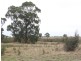 963 SEASPRAY ROAD, Longford VIC 3851