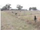 963 SEASPRAY ROAD, Longford VIC 3851