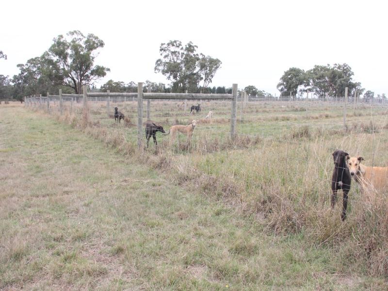 963 SEASPRAY ROAD, Longford VIC 3851