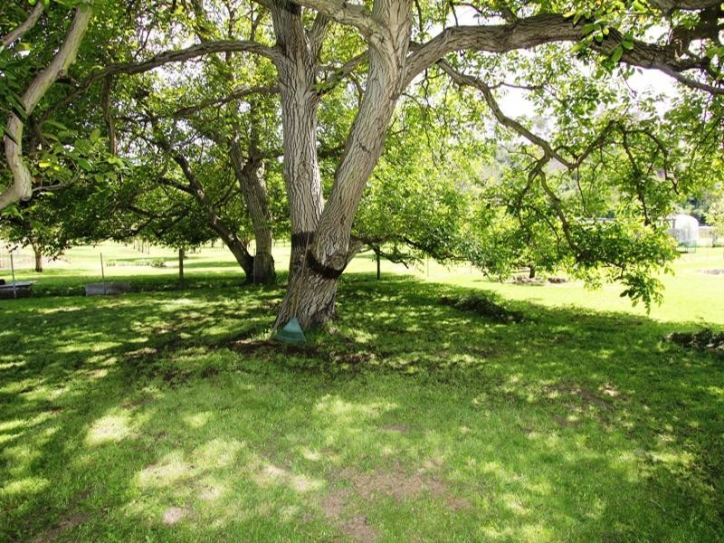 . LIND AVENUE, Dargo VIC 3862