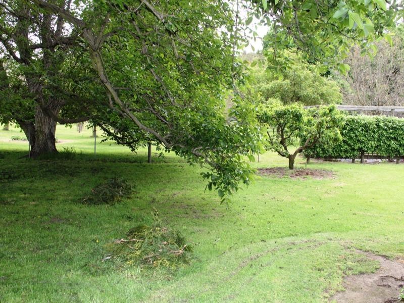 . LIND AVENUE, Dargo VIC 3862