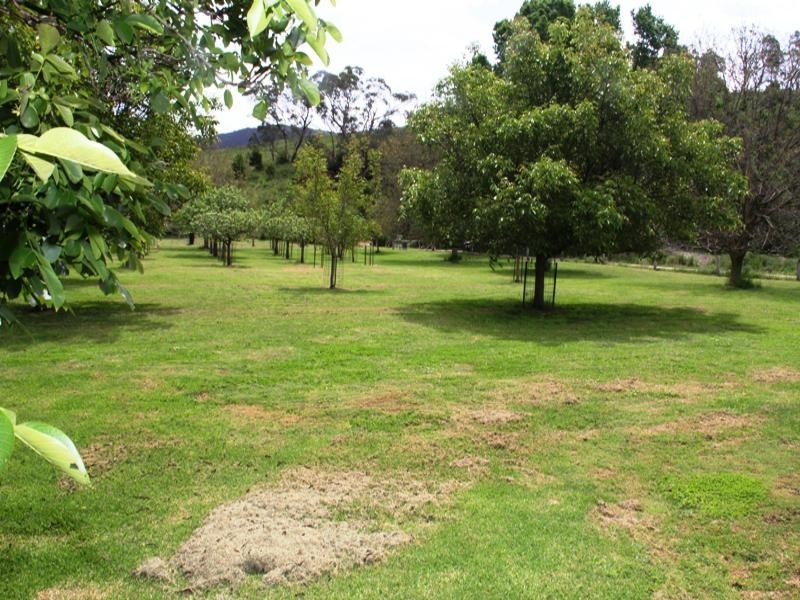 . LIND AVENUE, Dargo VIC 3862