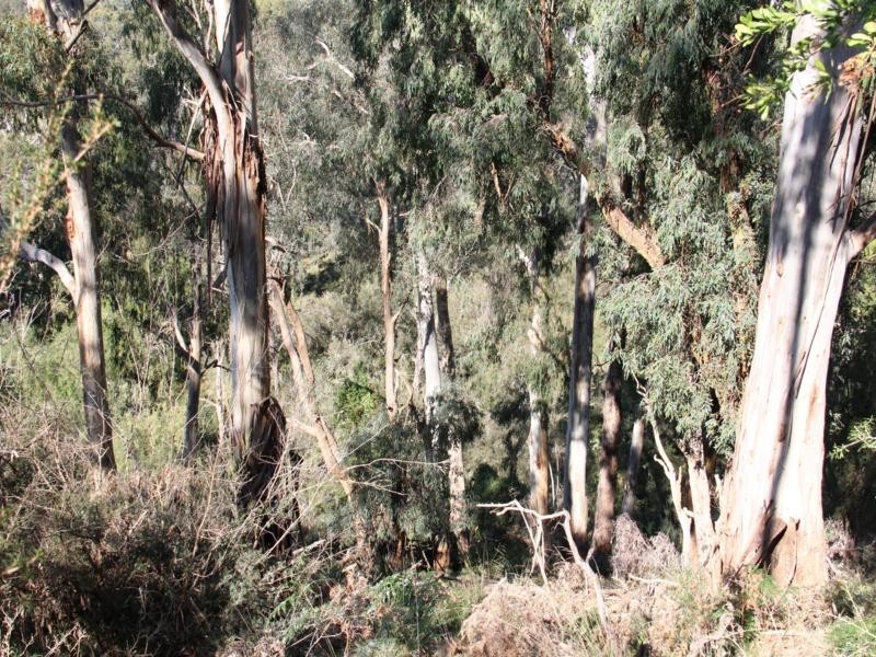 681 BUXTON’S LANE, Stradbroke VIC 3851