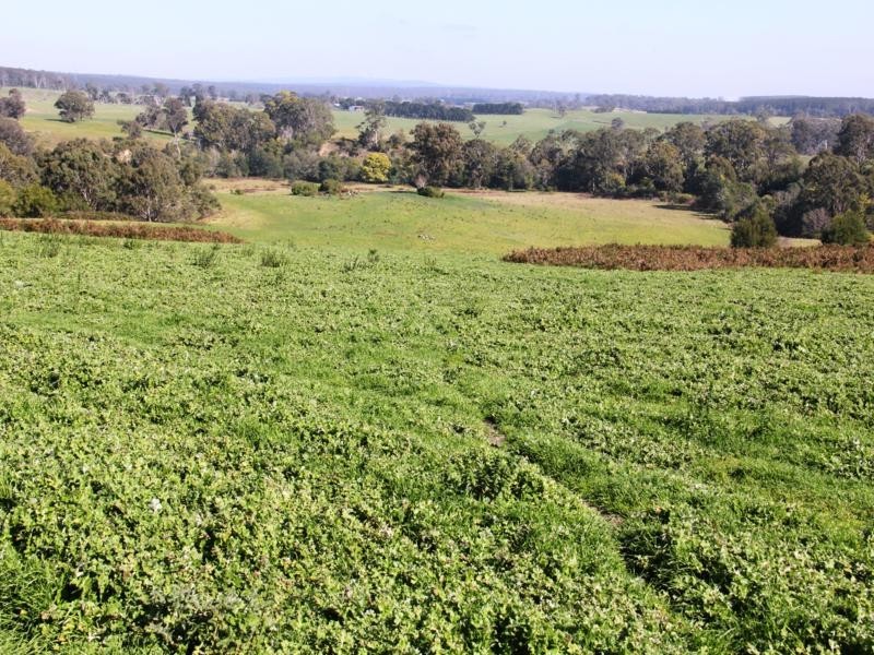 681 BUXTON’S LANE, Stradbroke VIC 3851