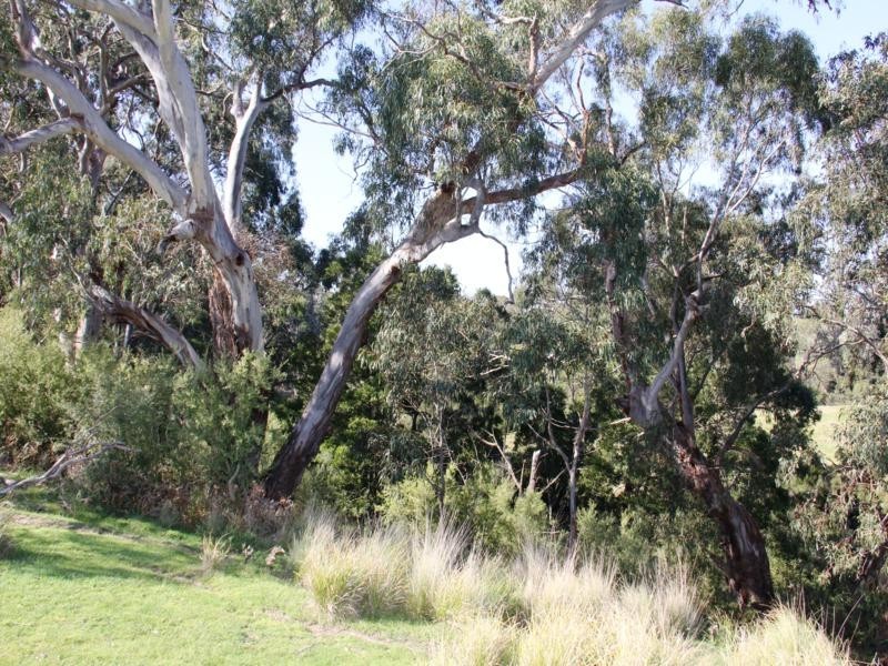 681 BUXTON’S LANE, Stradbroke VIC 3851