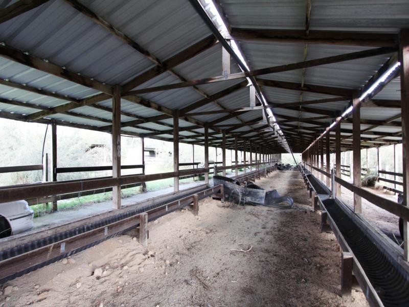 426 ROSEDALE-STRADBROKE ROAD, Rosedale VIC 3847