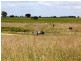 1 MCKINNONS ROAD, Heyfield VIC 3858