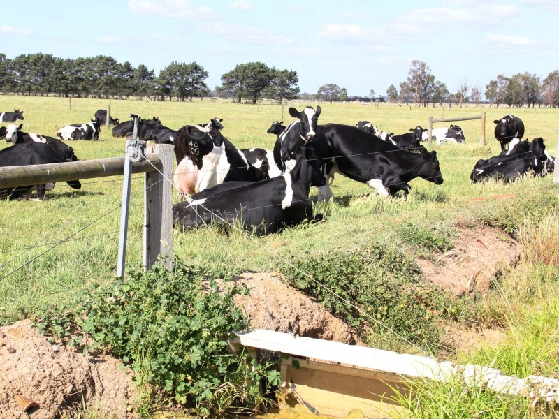 121 LANGSHAWS LANE, Fulham VIC 3851