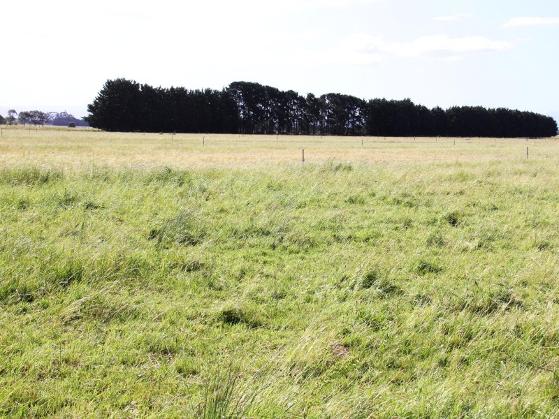 121 LANGSHAWS LANE, Fulham VIC 3851