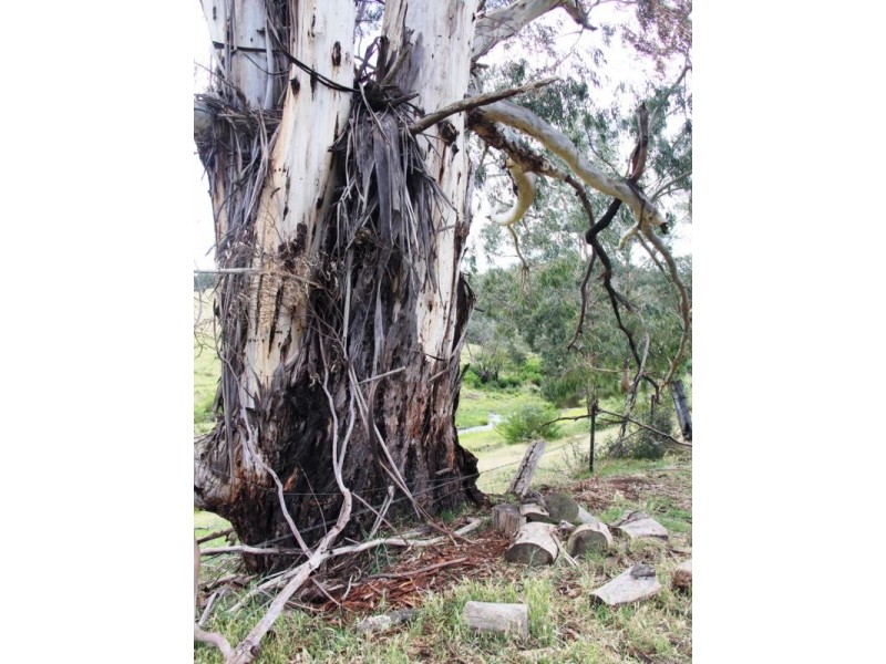 Lot 1 MOROKA ROAD, Valencia Creek VIC 3860