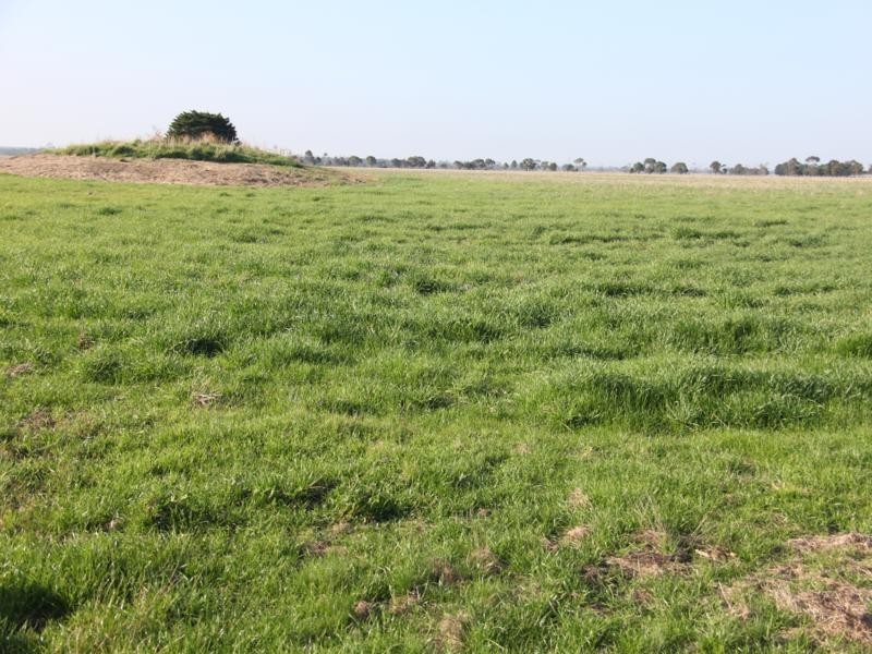 . South Gippsland Highway, Darriman VIC 3851