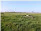 . South Gippsland Highway, Darriman VIC 3851