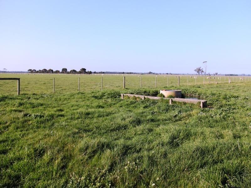 . South Gippsland Highway, Darriman VIC 3851