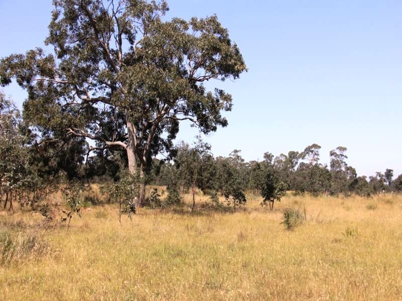 Lot 12 Cochranes Road, Seaspray VIC 3851