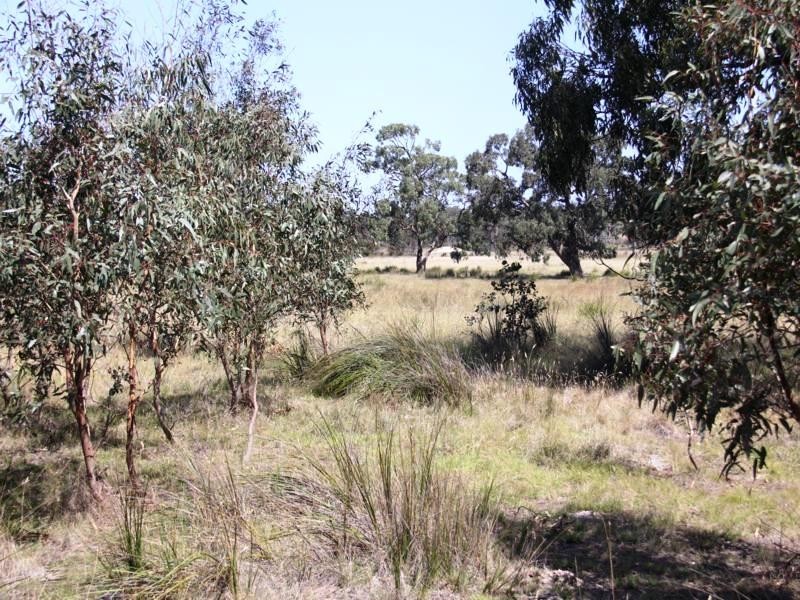 Lot 12 Cochranes Road, Seaspray VIC 3851