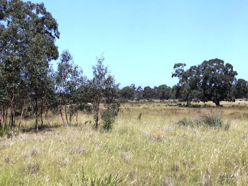 Lot 12 Cochranes Road, Seaspray VIC 3851