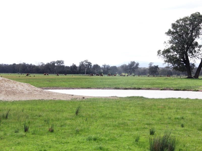 . Heyfield – Dawson Road, Heyfield VIC 3858