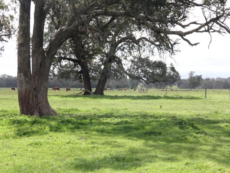 . Heyfield – Dawson Road, Heyfield VIC 3858
