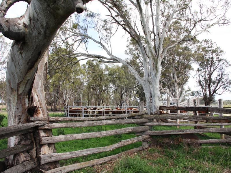 . Heyfield – Dawson Road, Heyfield VIC 3858