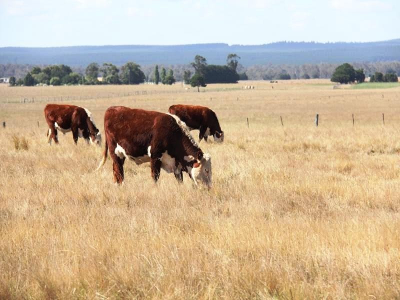 . HOPKINS ROAD, Fulham VIC 3851