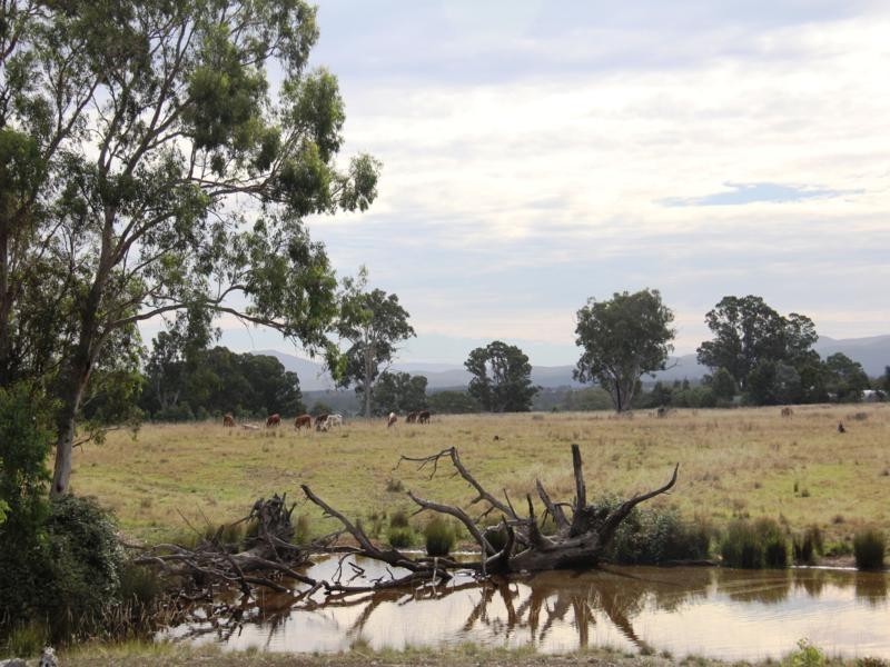 . Briagolong-Stockdale Road, Briagolong VIC 3860