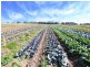 365 Boisdale-Stratford Road, Maffra VIC 3860