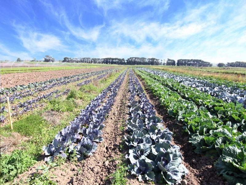 365 Boisdale-Stratford Road, Maffra VIC 3860