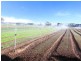 365 Boisdale-Stratford Road, Maffra VIC 3860